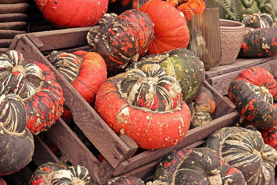 pumpkins orange pixa.jpg