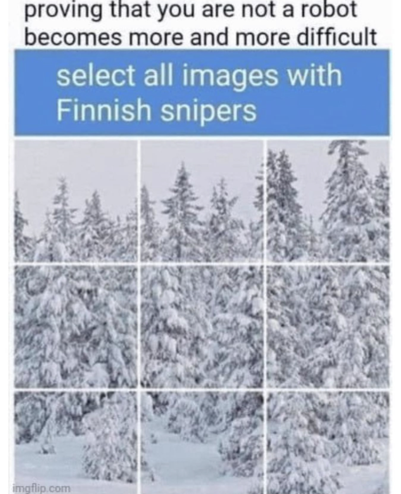 IMG_5136.jpeg