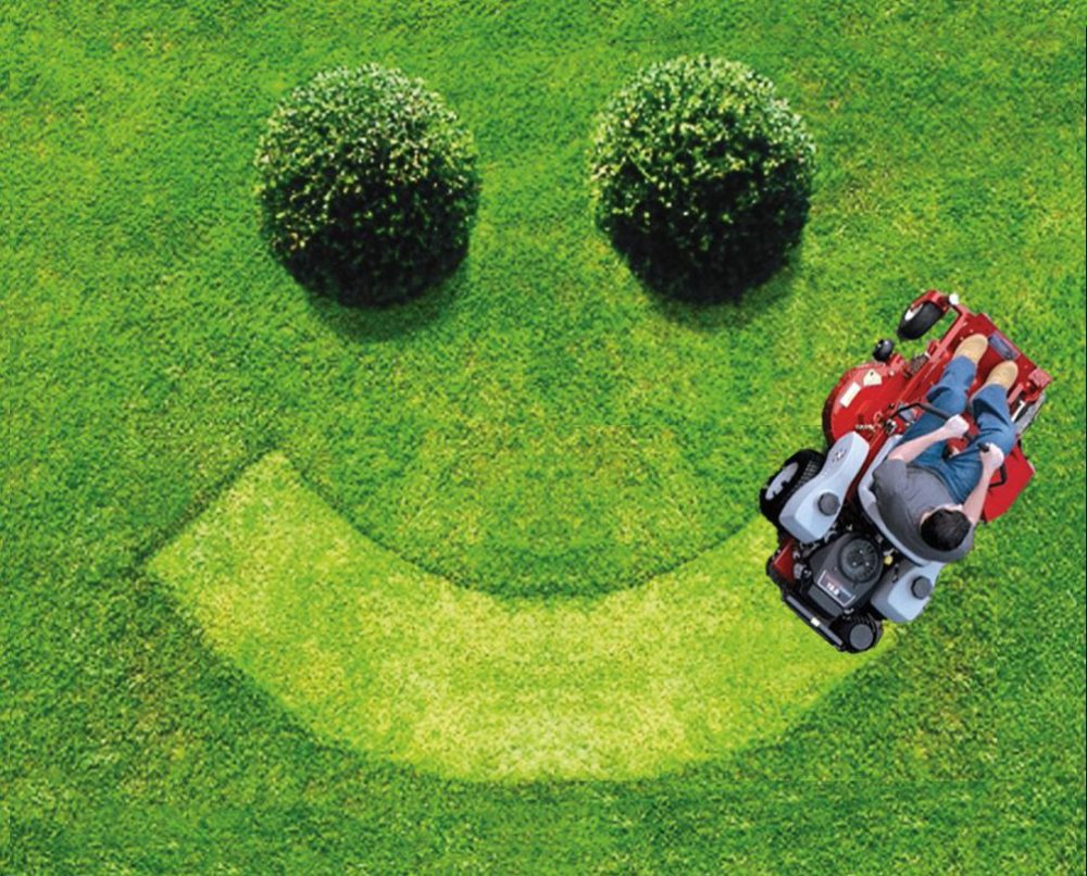 lawn-is-happy.jpg