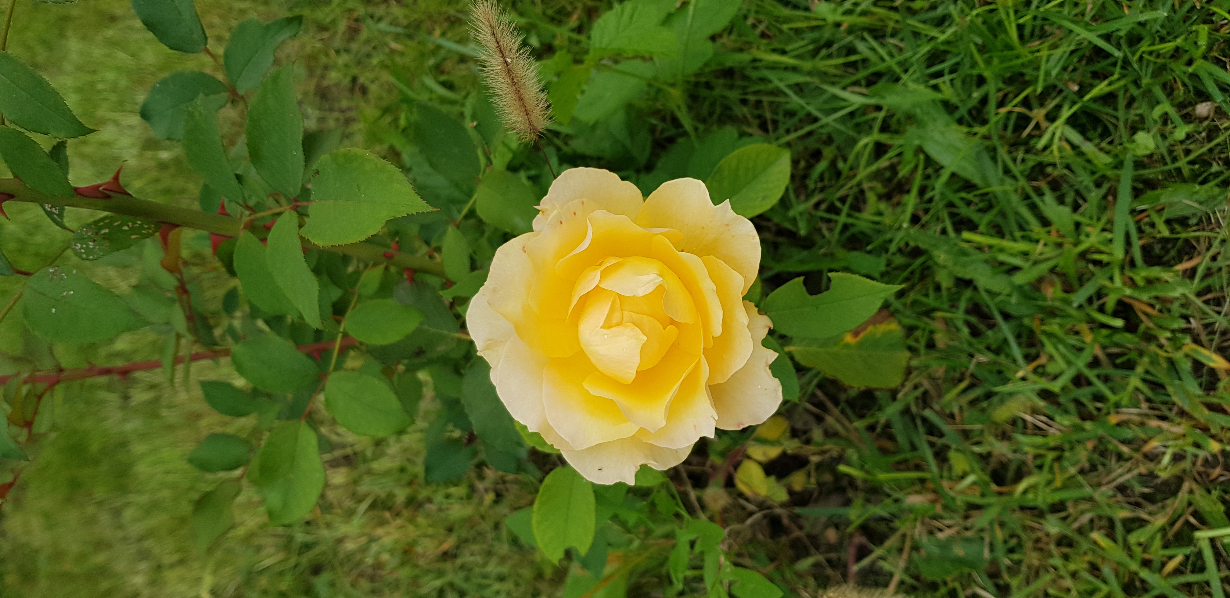 20220925_160239.jpg