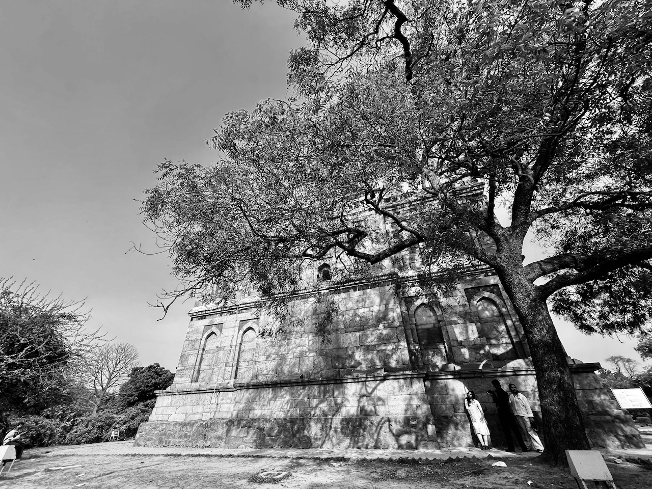 IMG_7932.jpeg
