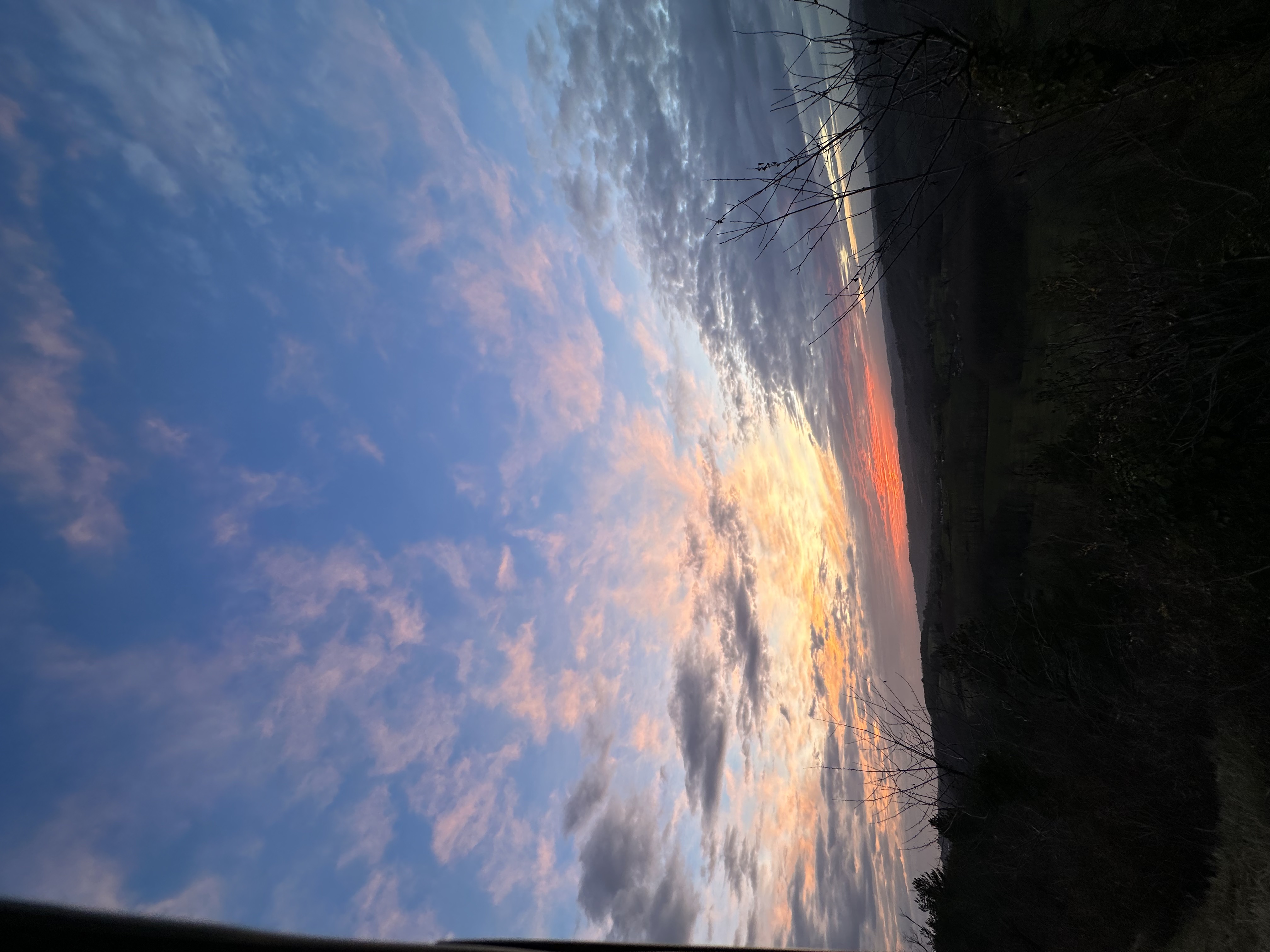 IMG_9075.jpeg