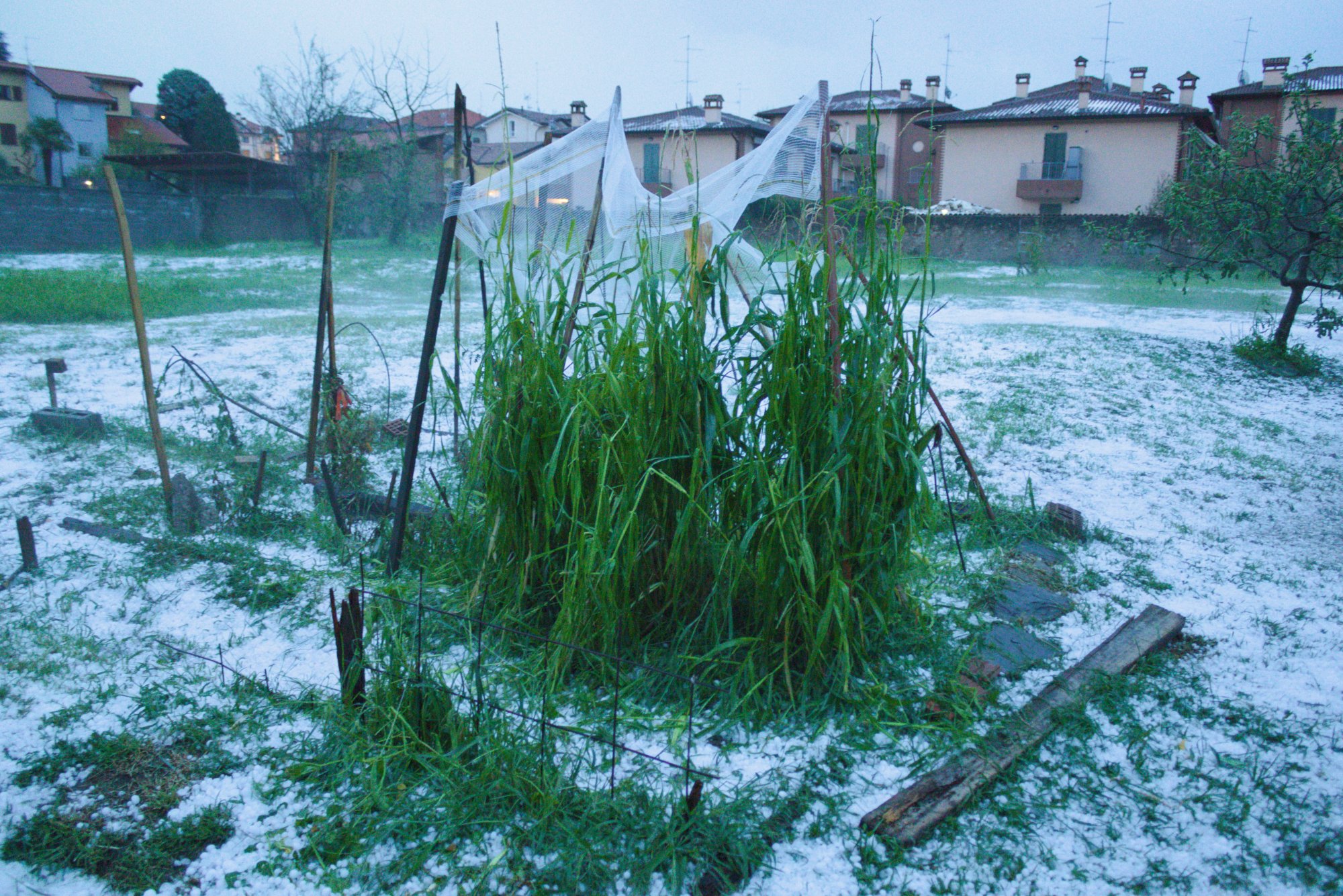 giardino_7.jpg