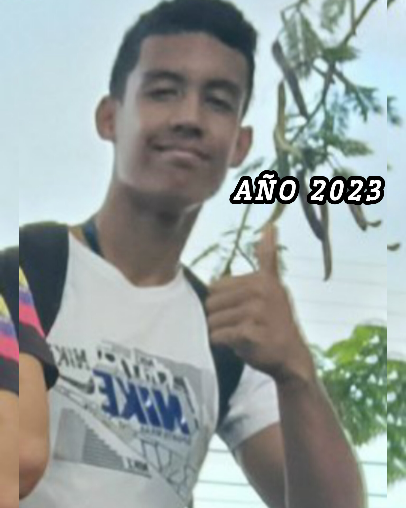 InShot_20250328_191959346.jpg