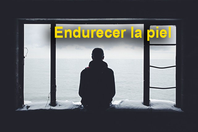 portada.jpg