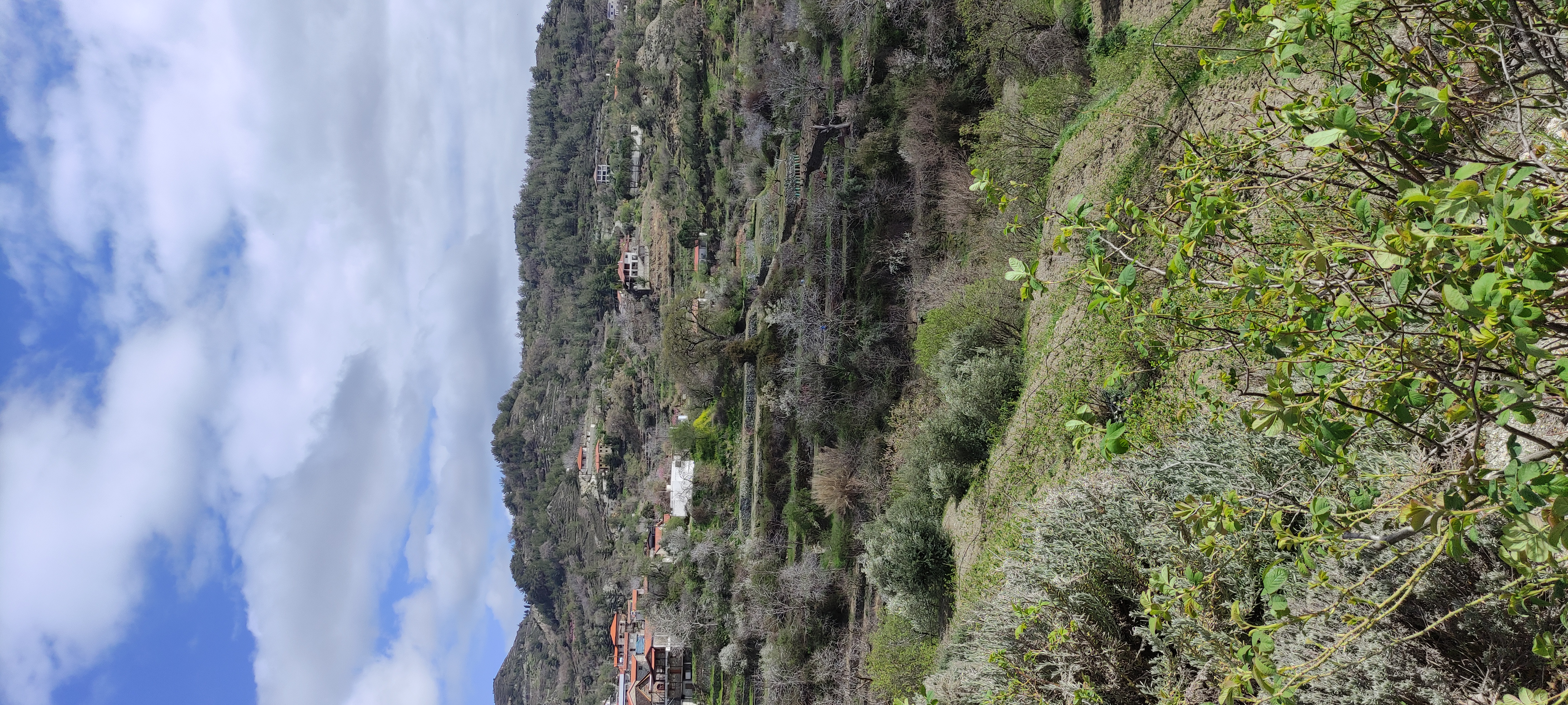 IMG_20250320_133217.jpg