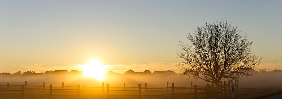 sunrise-fog-autumn-cool.jpg