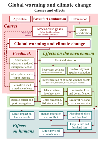 425px-20200118_Global_warming_and_climate_change_-_vertical_block_diagram_-_causes_effects_feedback.png