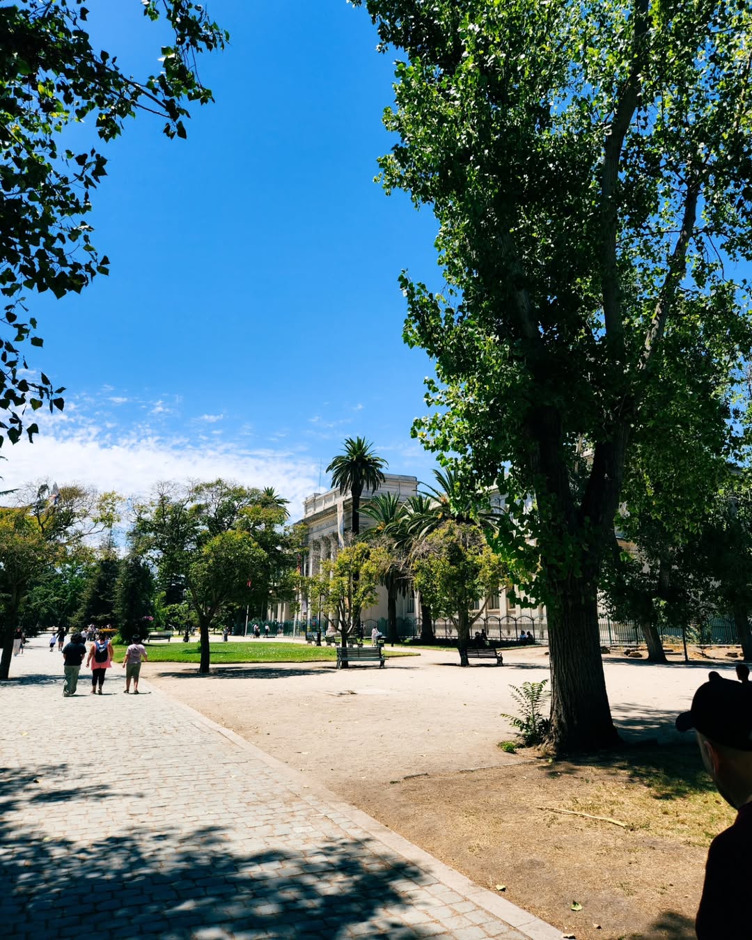 Paseando.heic (1).jpg
