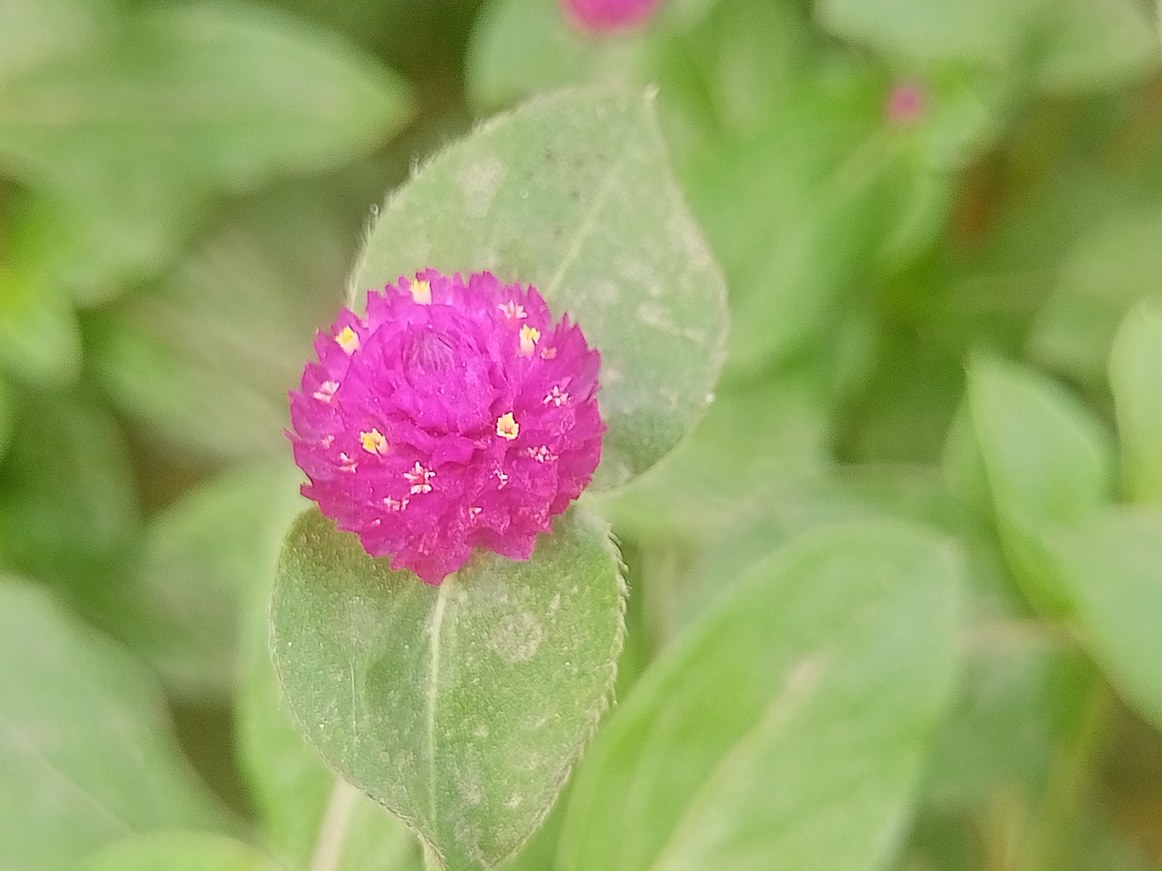 IMG20250429143827.jpg