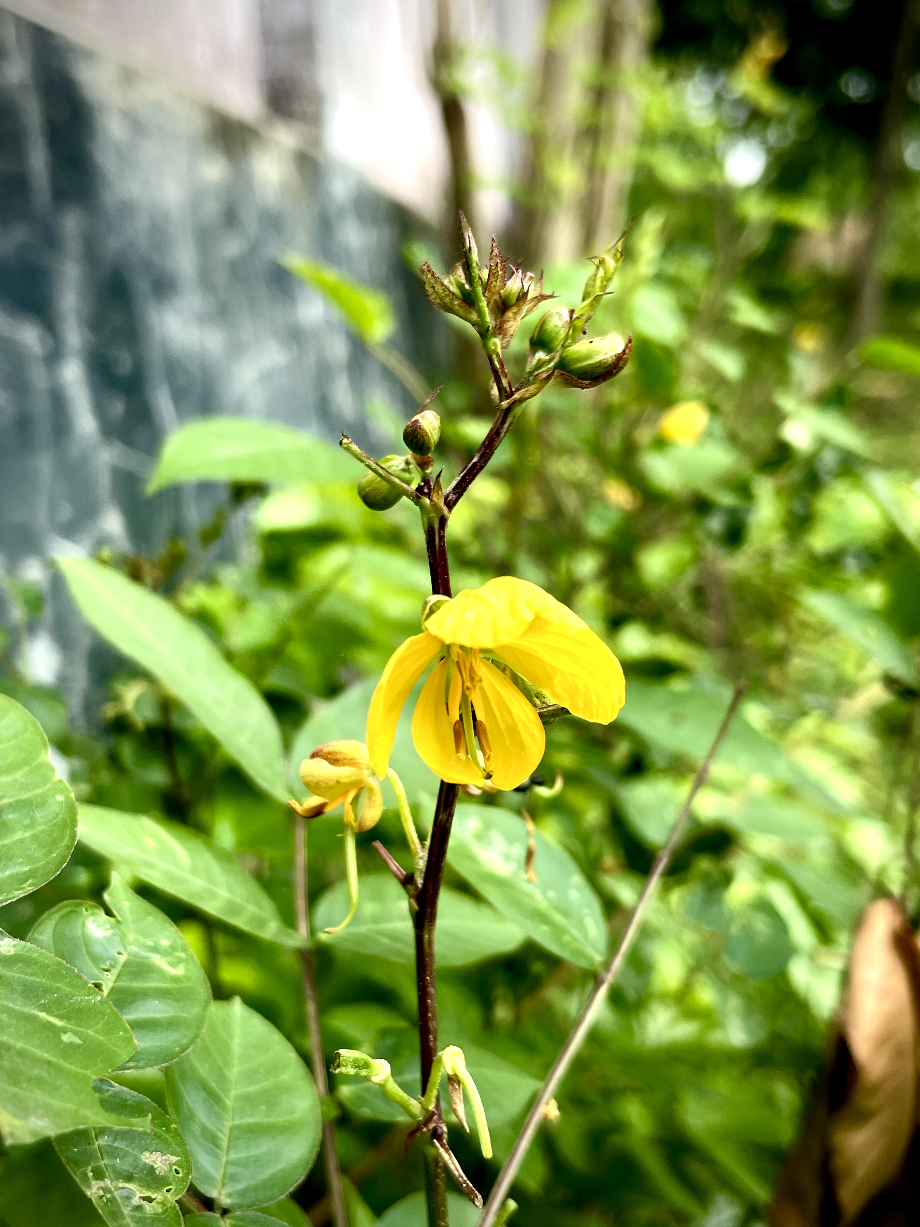 IMG_7704.jpeg