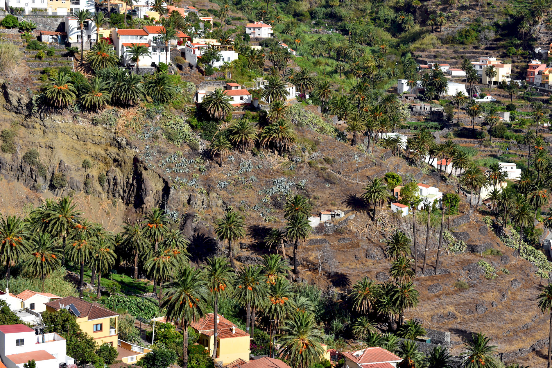 La-Gomera-52.jpg