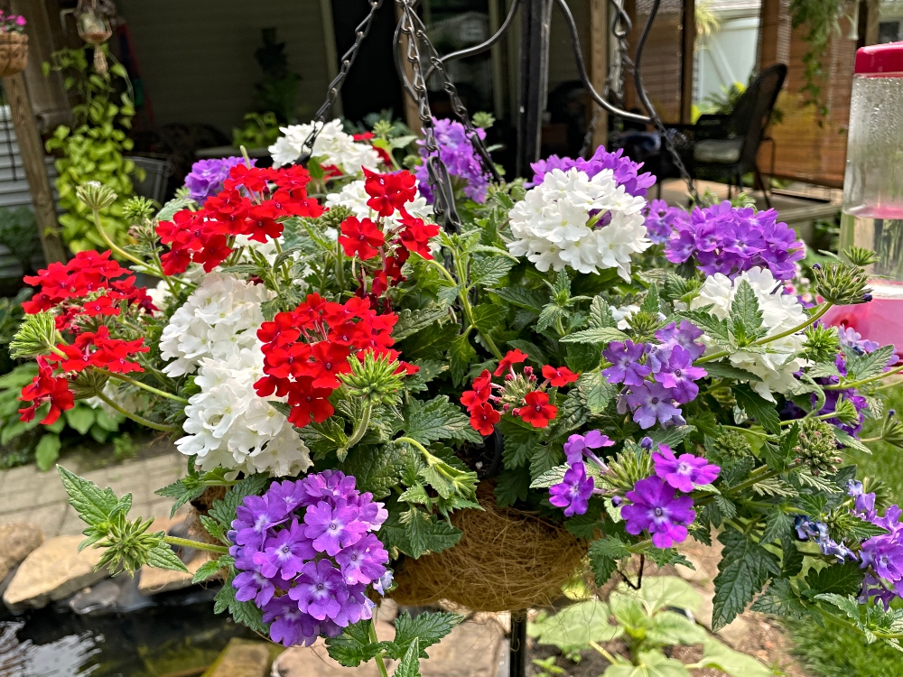 alwaysaflower-farm-20.jpg