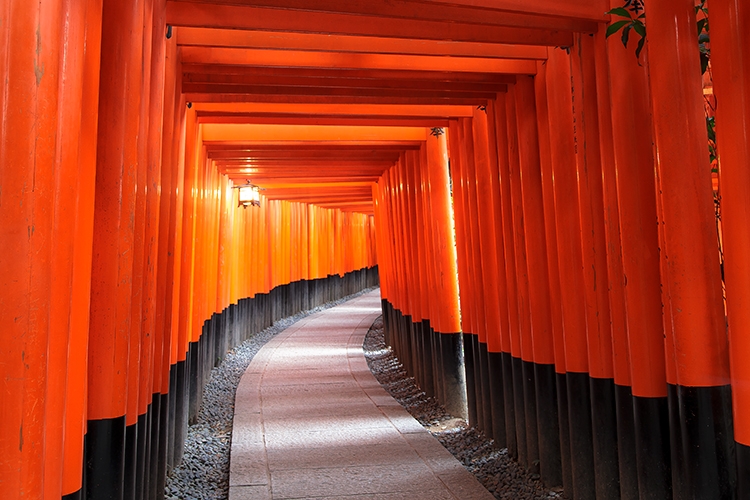 GAK92_fusimiinari500.jpg