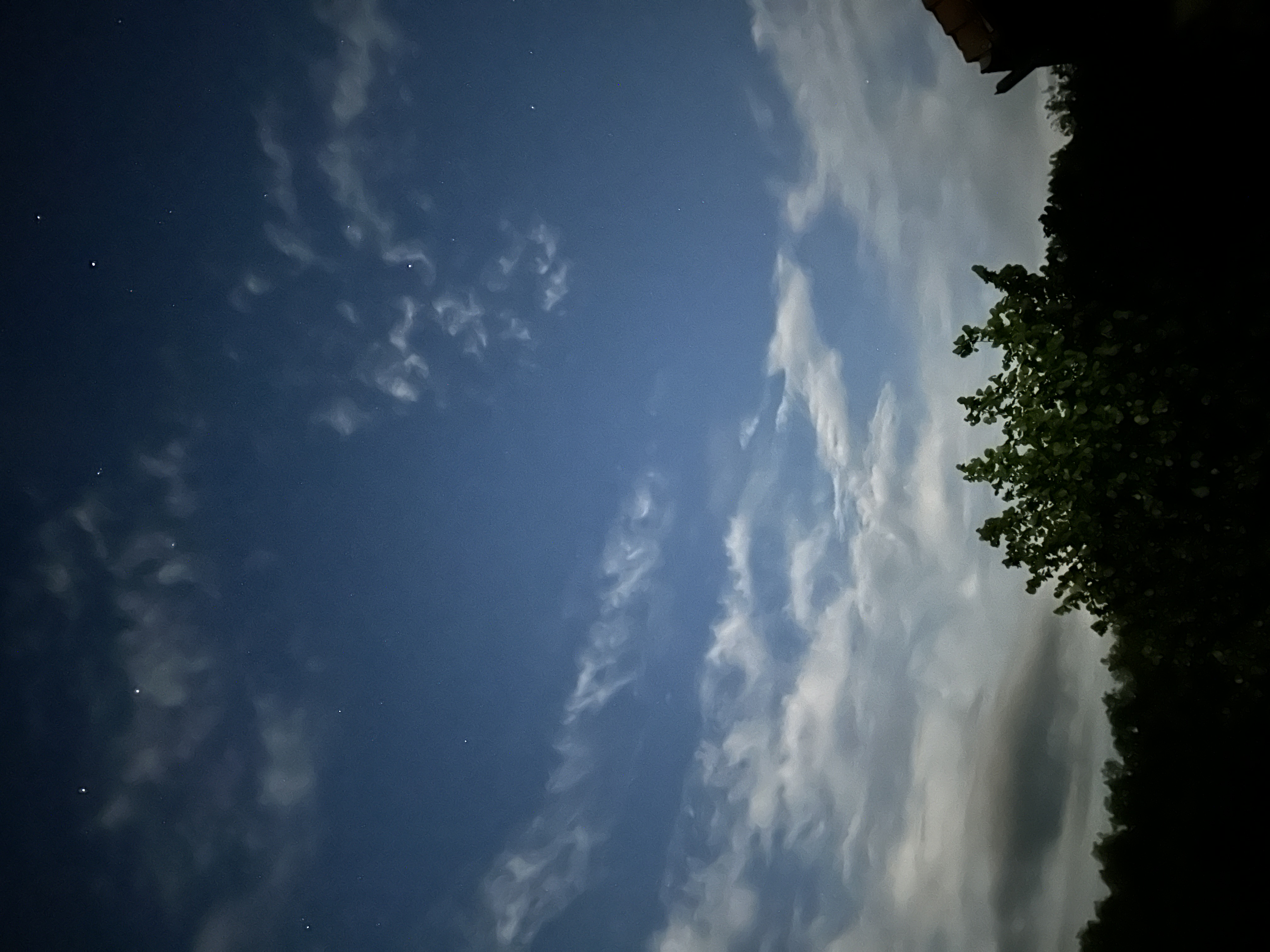 IMG_2662.jpeg