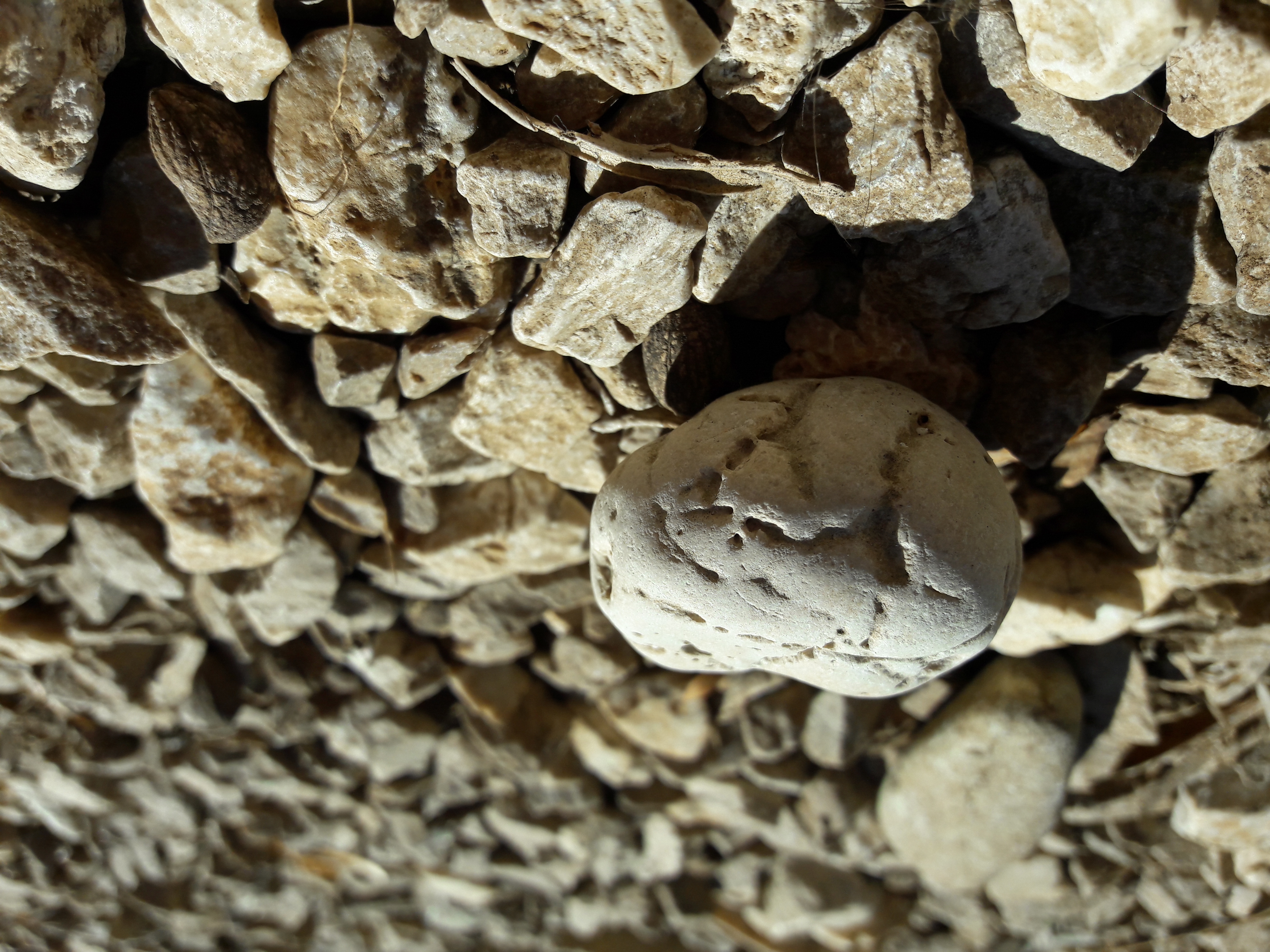 Artificial-Detail-Small-Object-Publicdomain (2).jpg