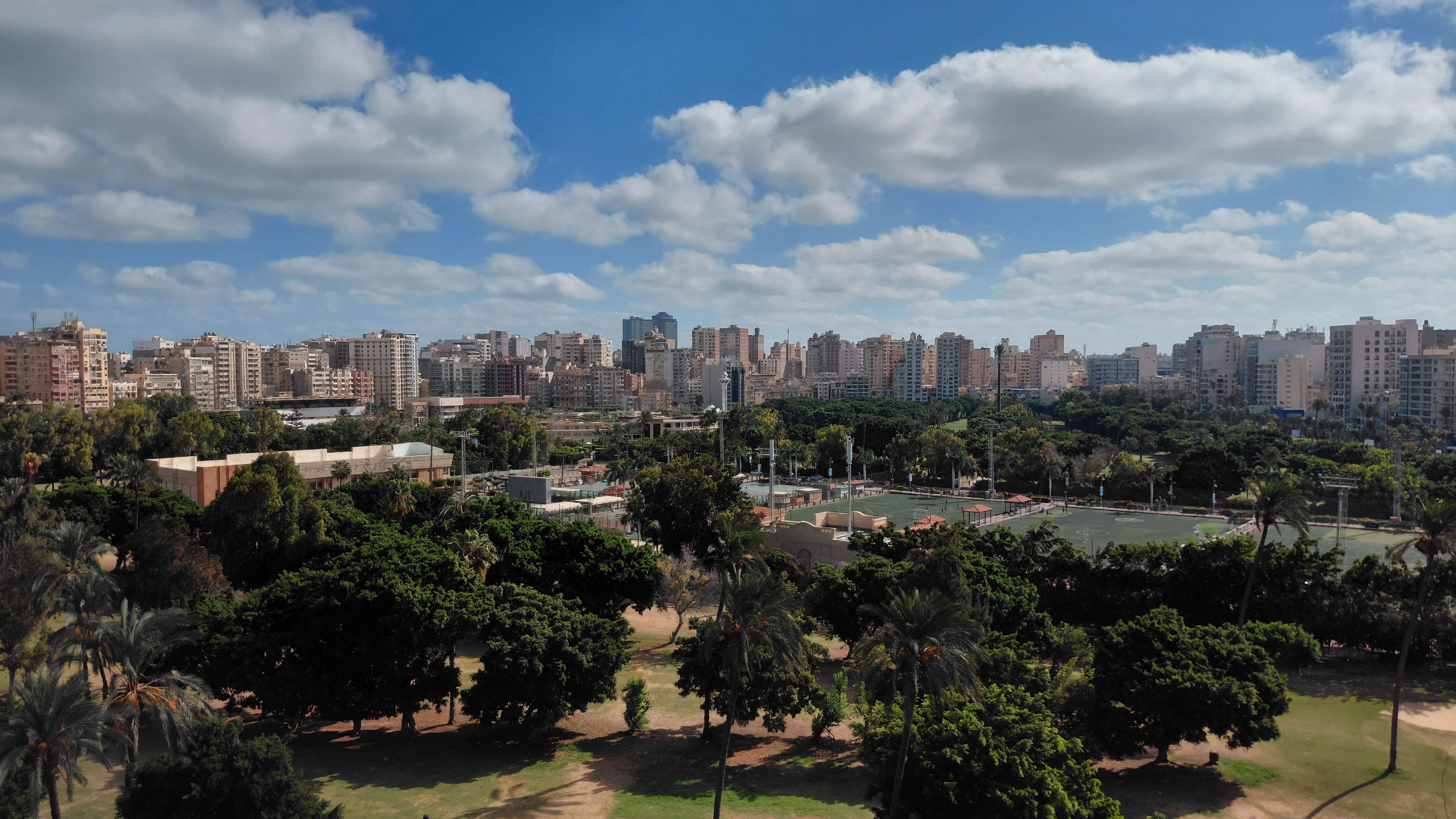 Good Morning from Alexandria, Egypt