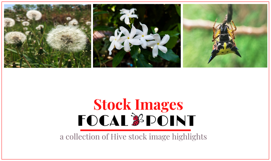 COVERstockimages.png