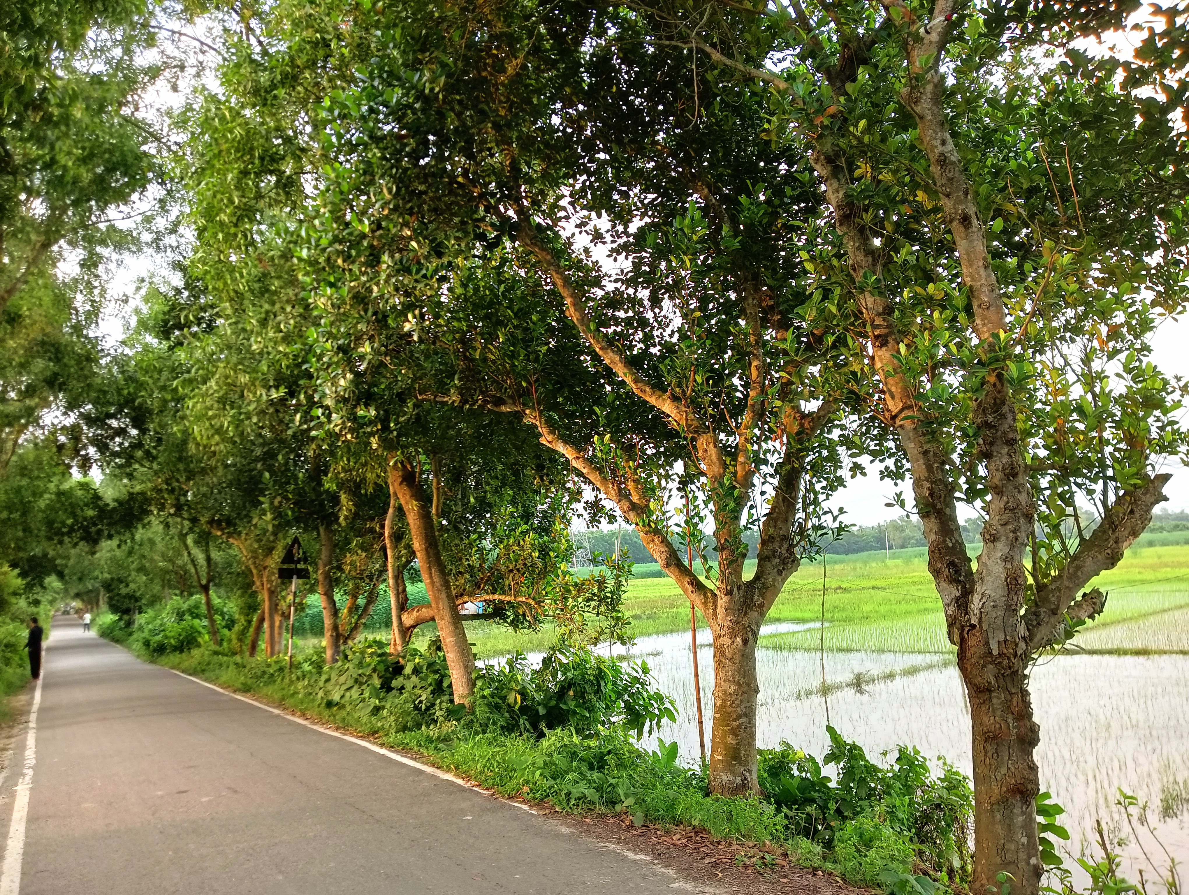 IMG20250815175220.jpg