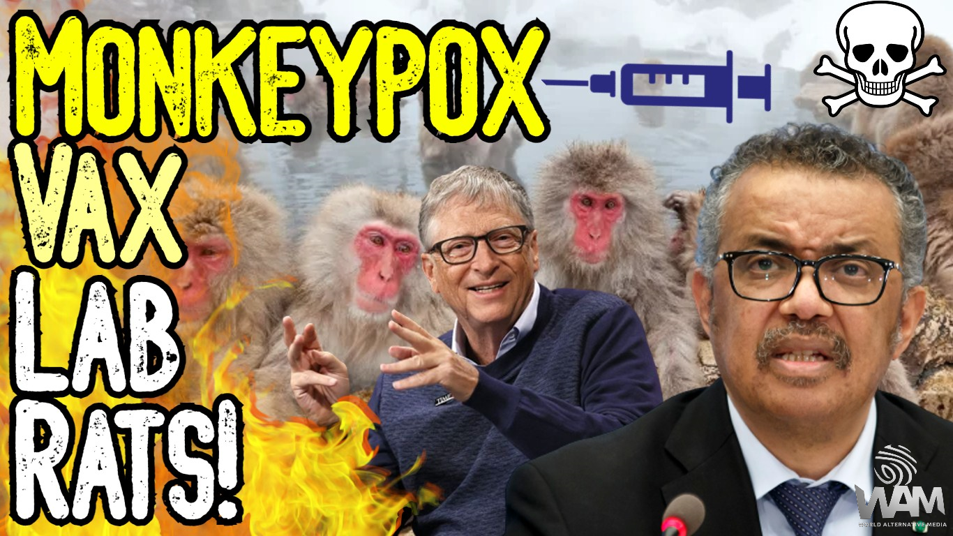 exposed monkeypox vax lab rats thumbnail.png