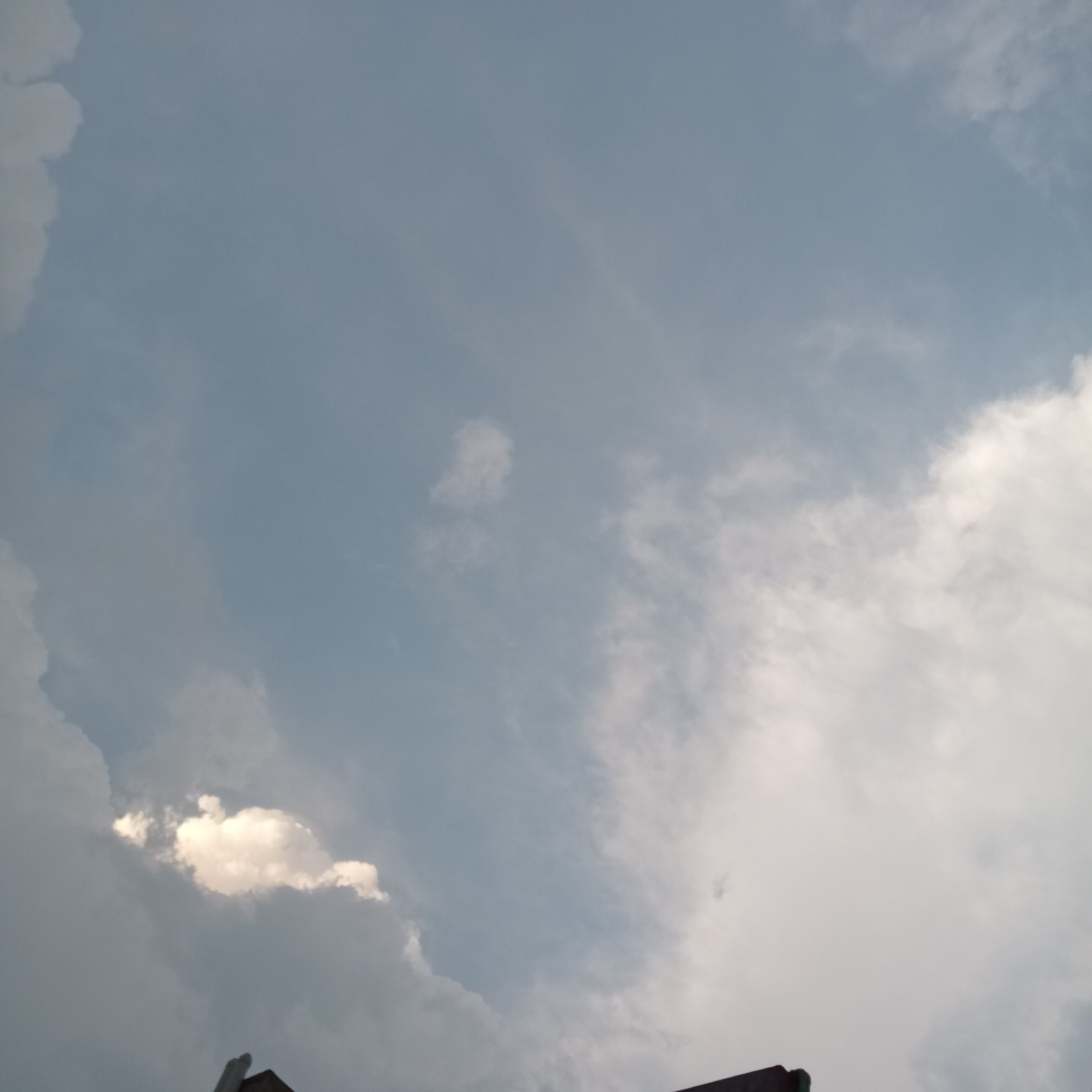 IMG_20210610_184632.jpg