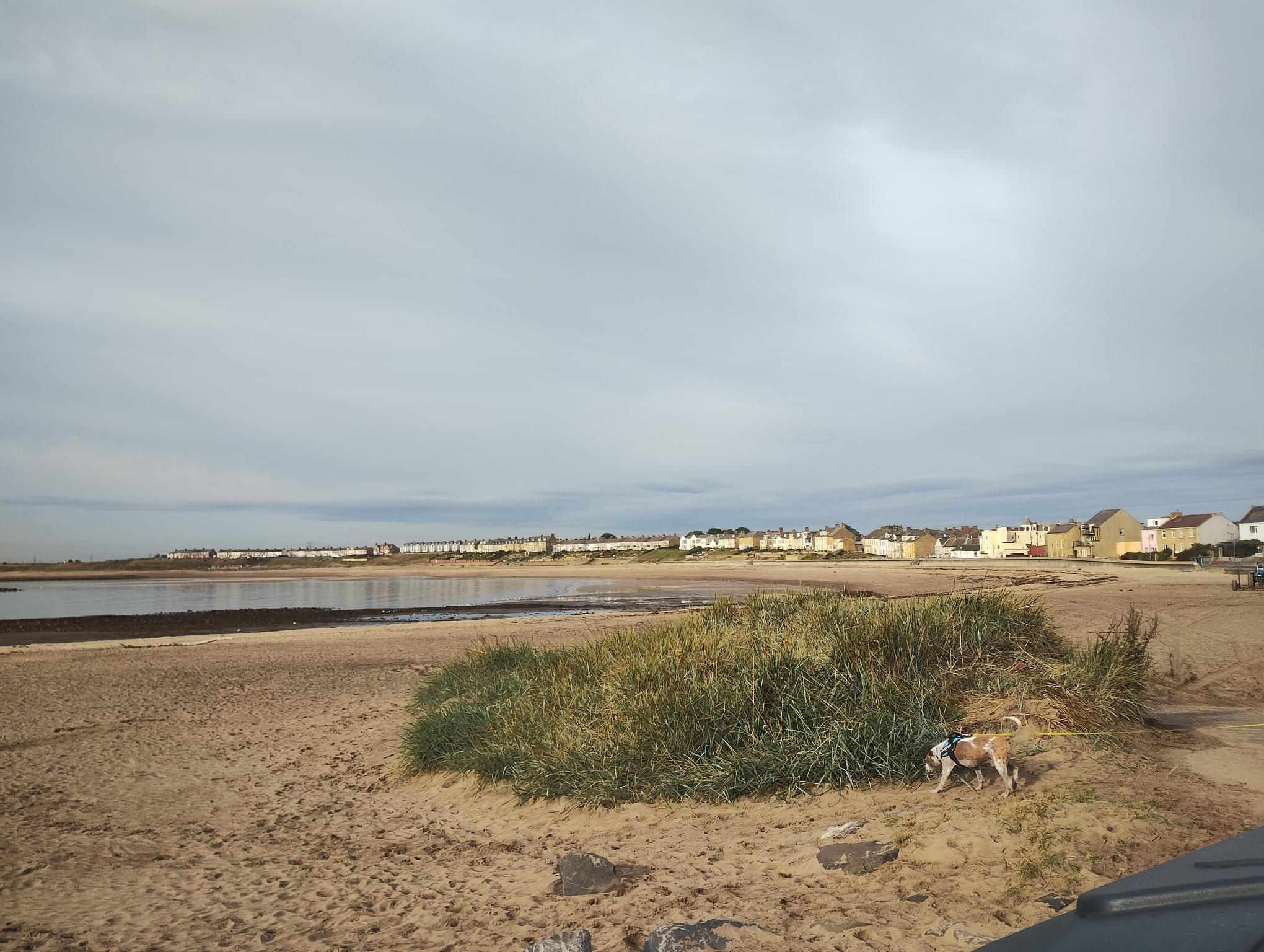 footer_image_15713615556.png
