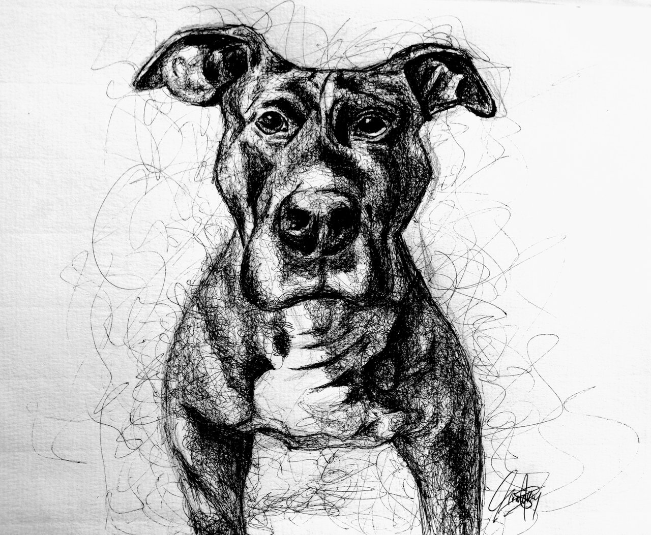 Ink drawing of a dog using scribbling technique (ENG /ESP) — Hive