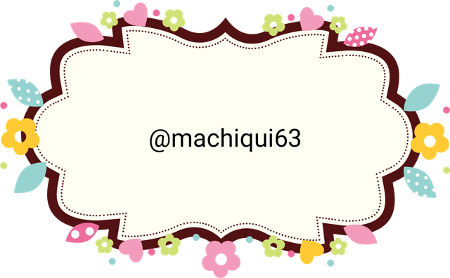 MACHIQUI63.png