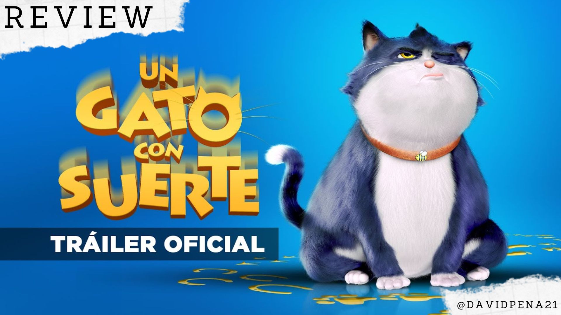 gato.jpg