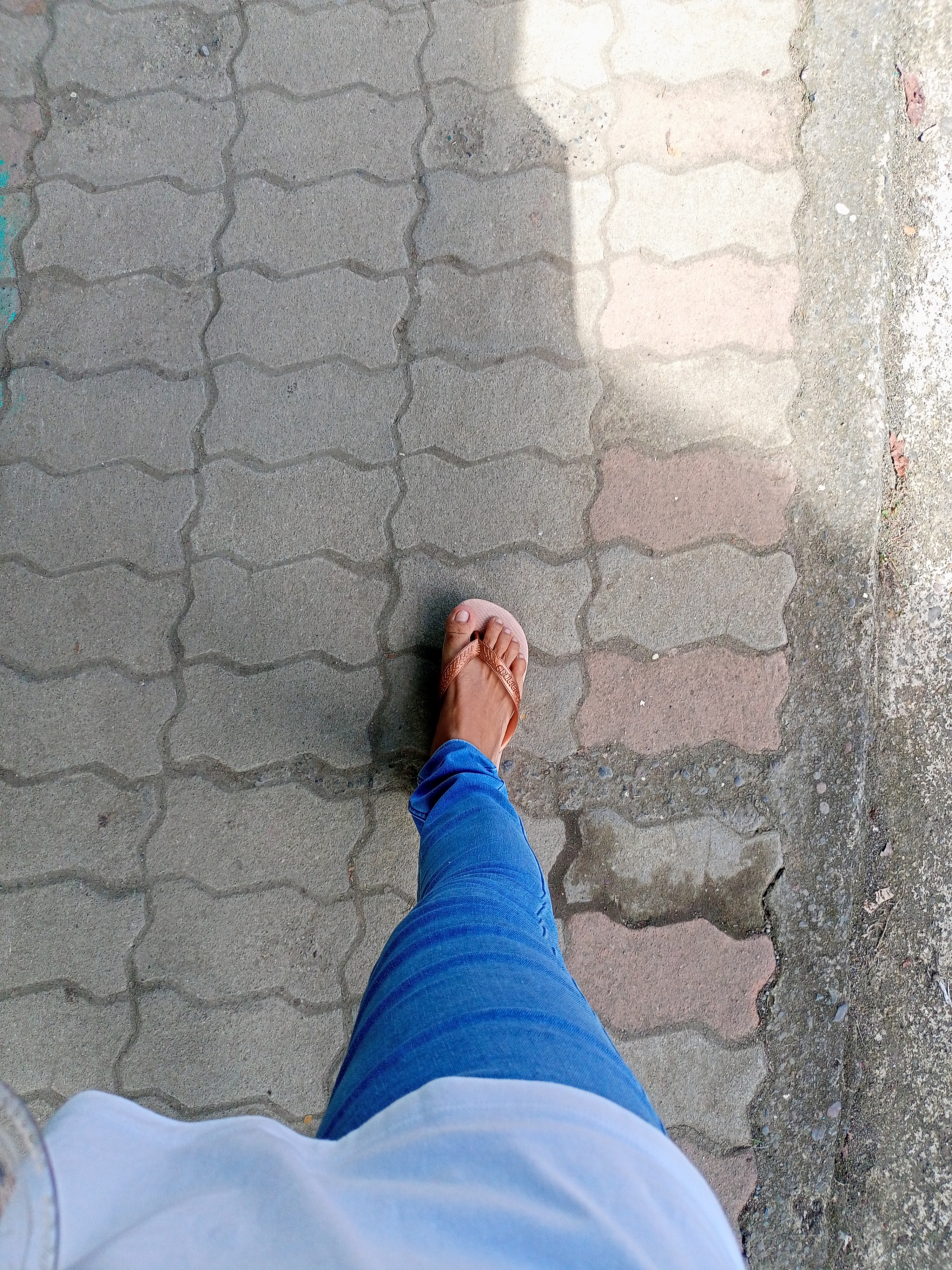 IMG20250325135131.jpg