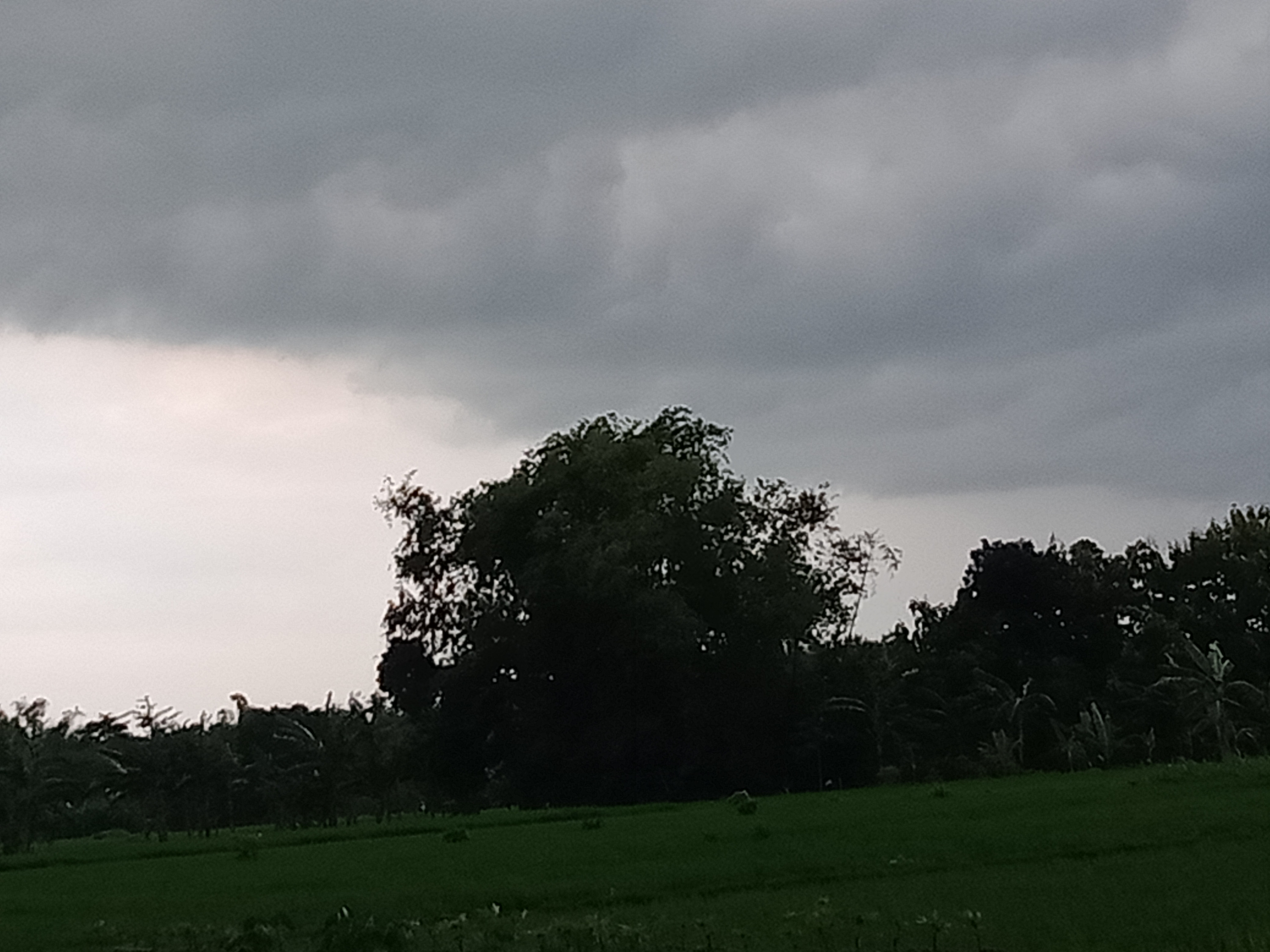 IMG20210126161818.jpg