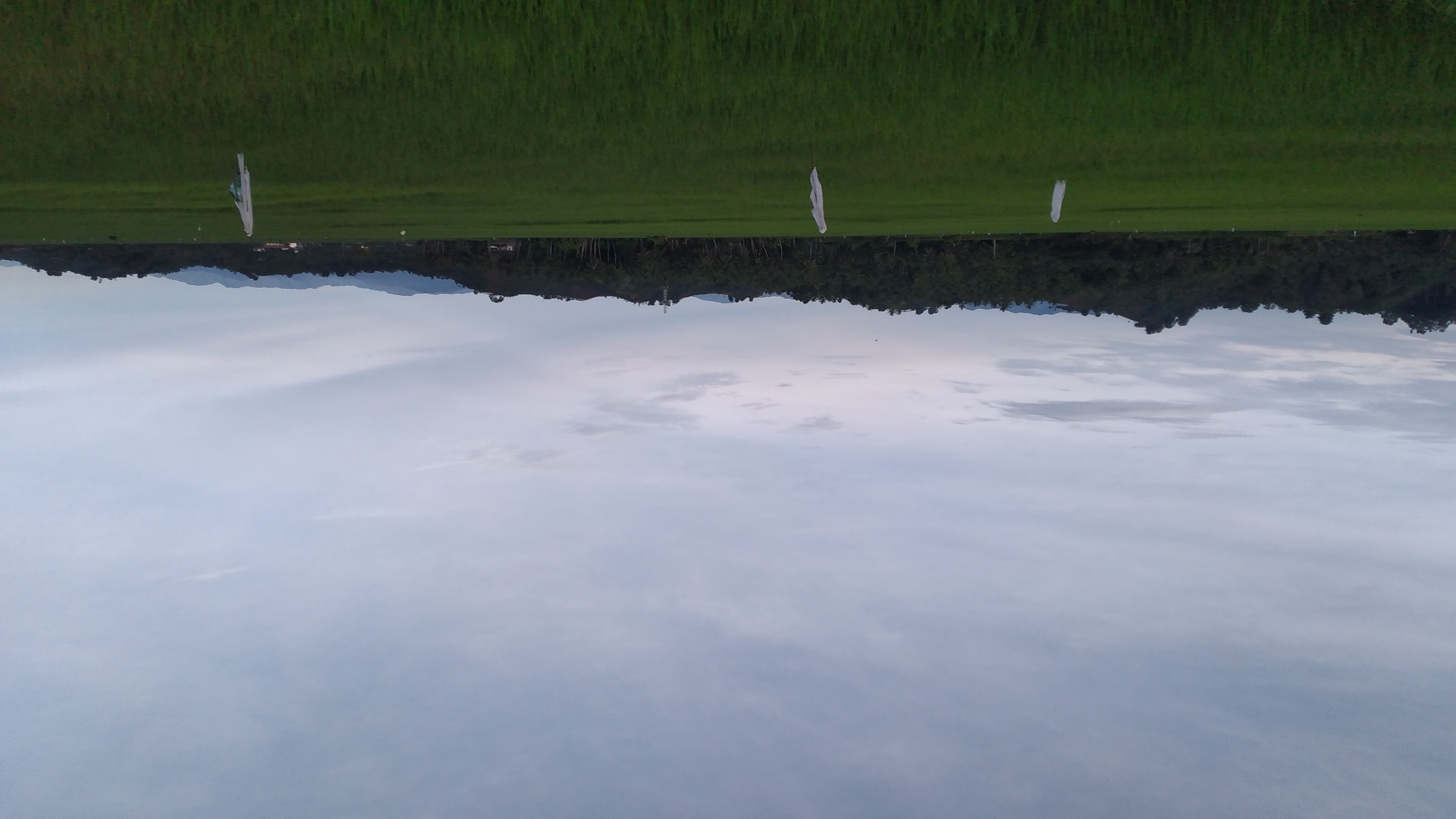 20241011_070158.jpg
