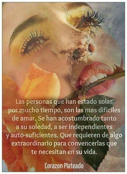 eaf0f7b19717691eeec0b69c6a01a75a.jpg
