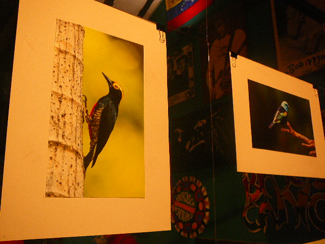 P1110727.JPG