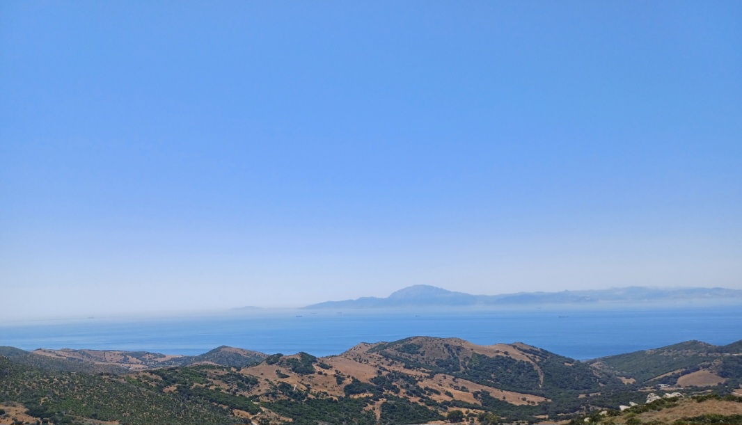 Screenshot_20250512_100155_Gallery.jpg