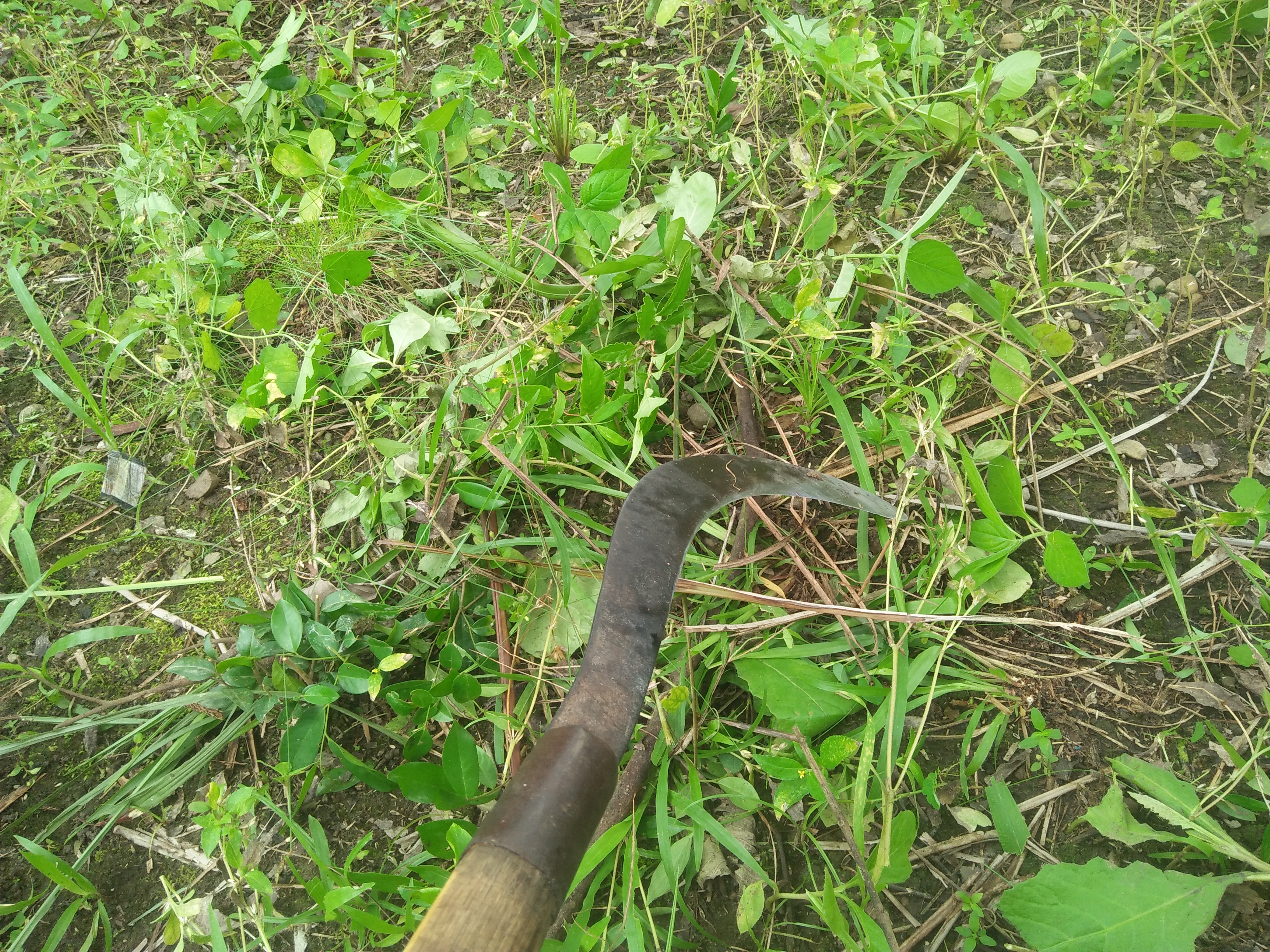 IMG20250424103050.jpg