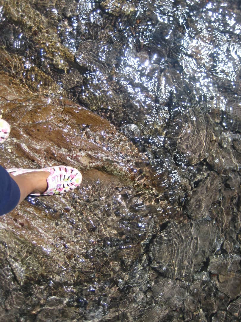IMG-20201016-WA0061.jpg