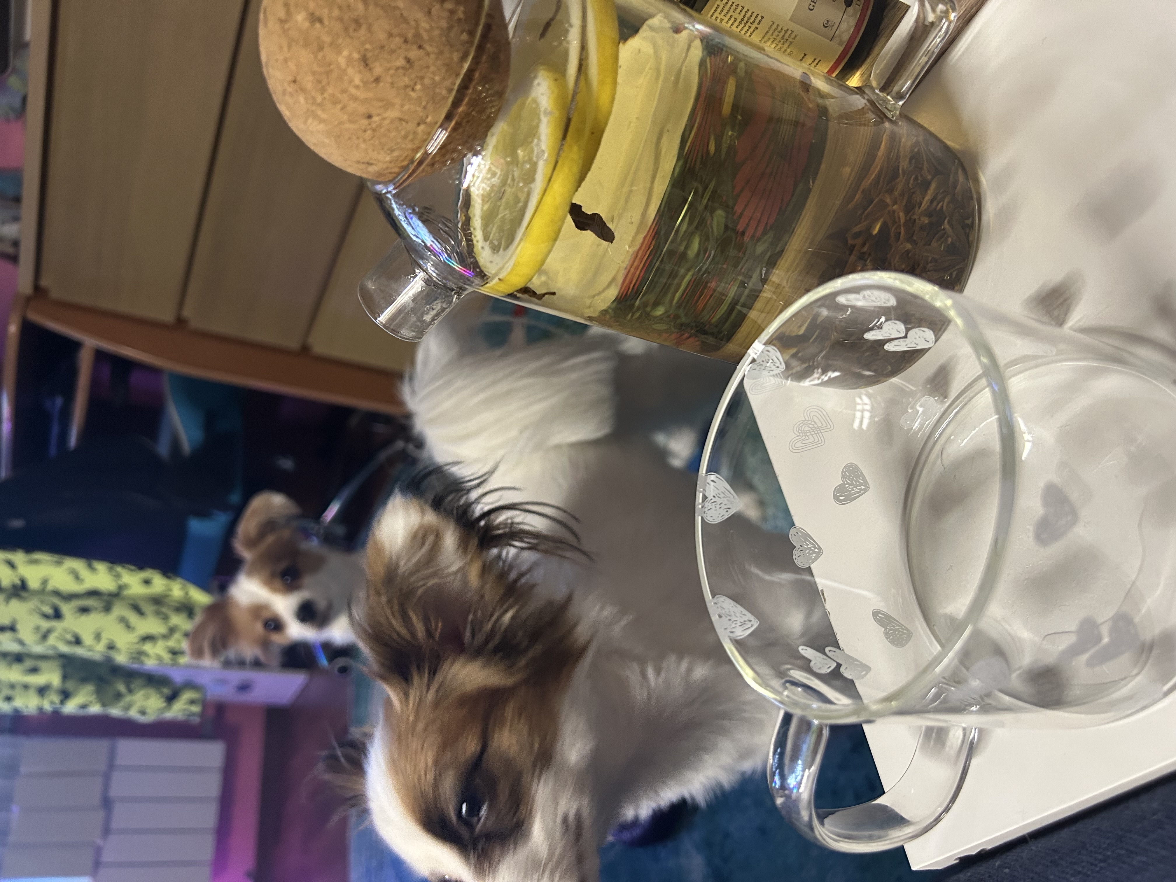 IMG_7574.jpeg