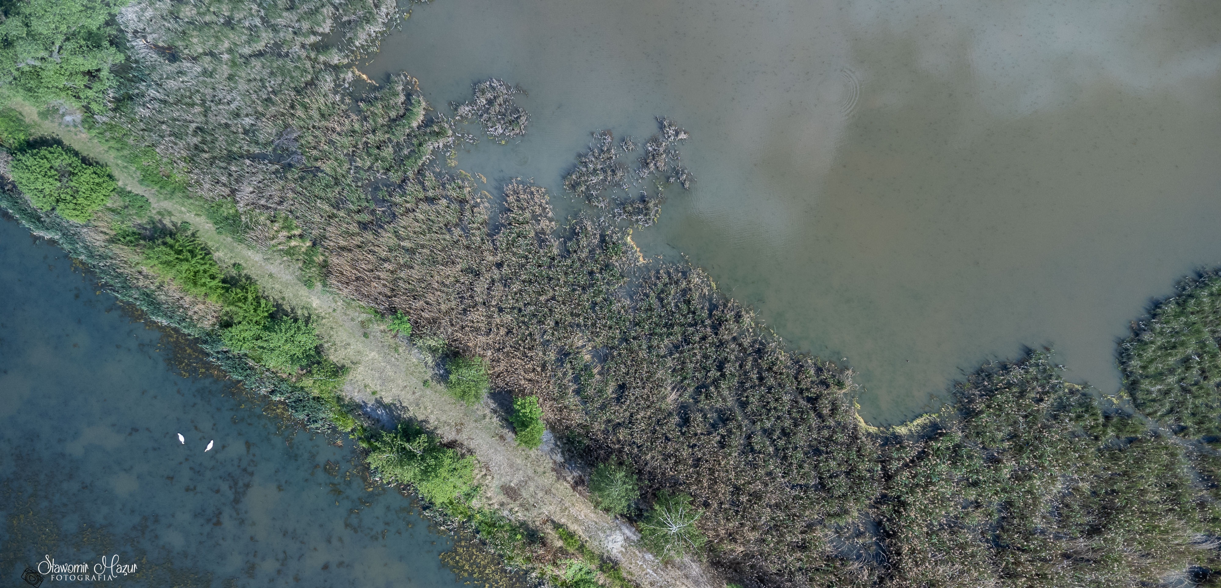 DJI_0577.jpg