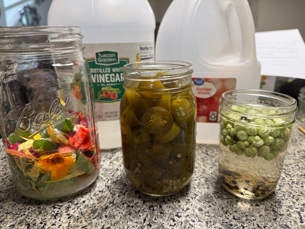 foodiesbeehive-nasturtium-ferment-6.jpg