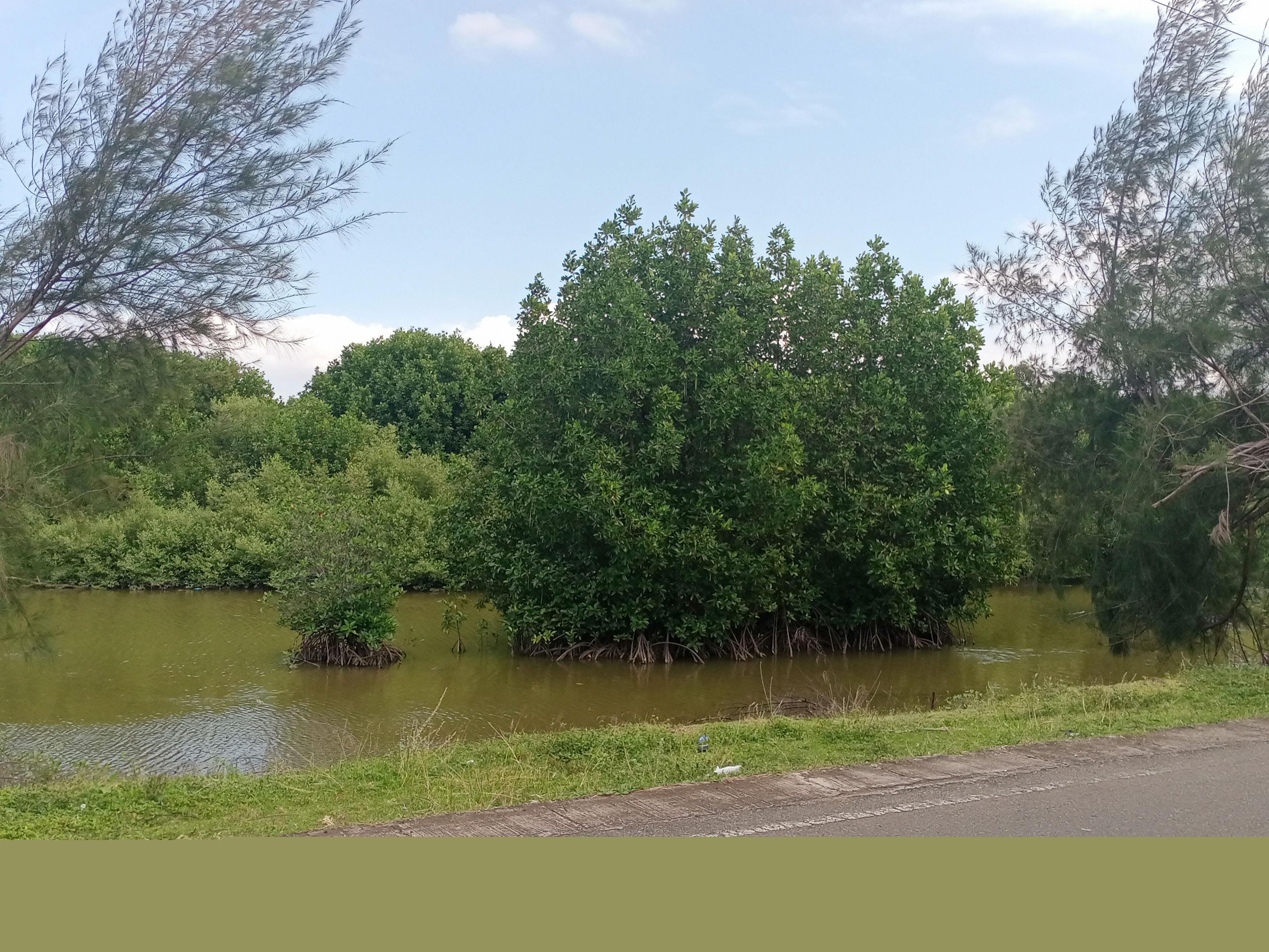 IMG20220107144643.jpg