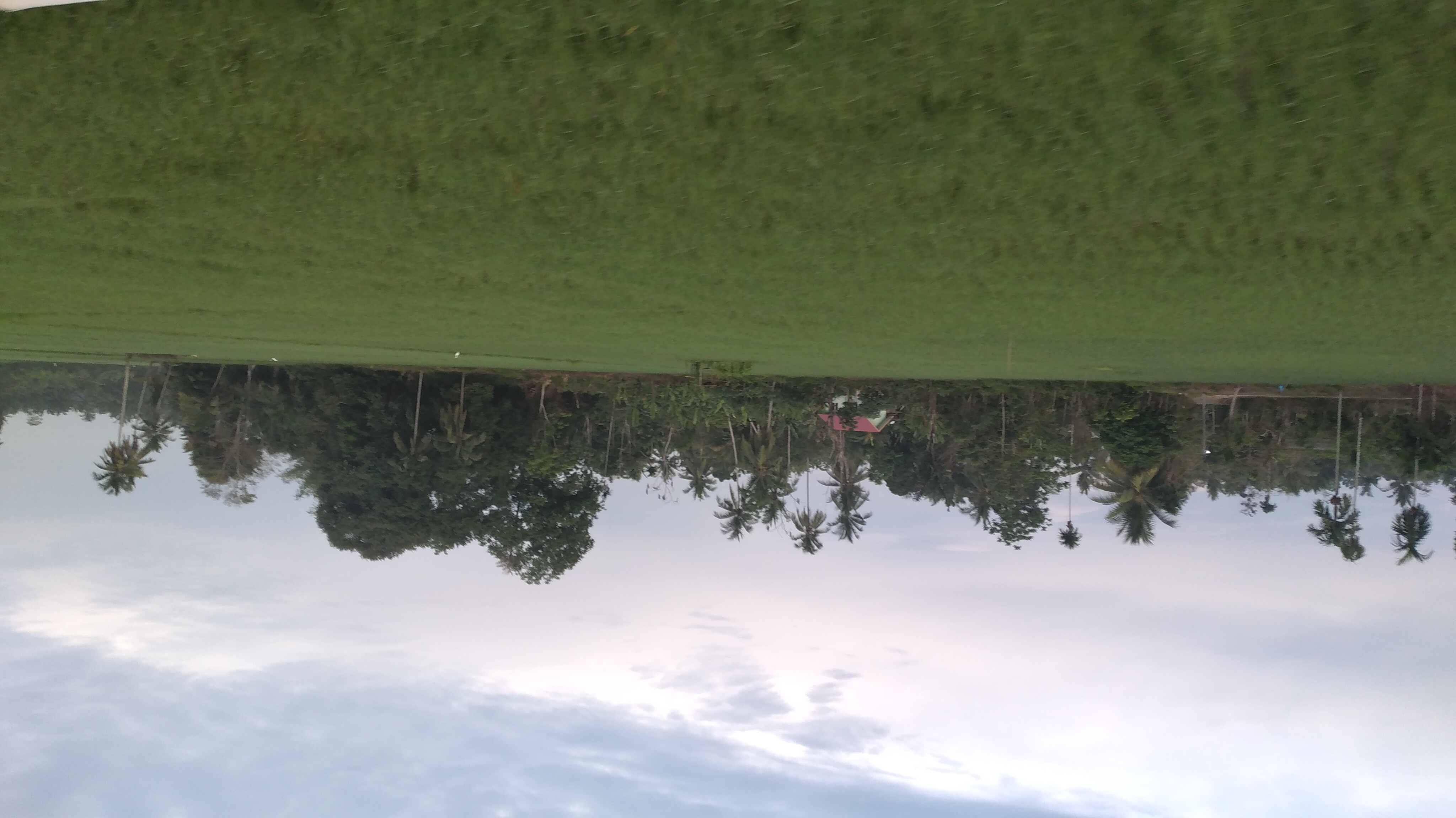 20240310_070159.jpg