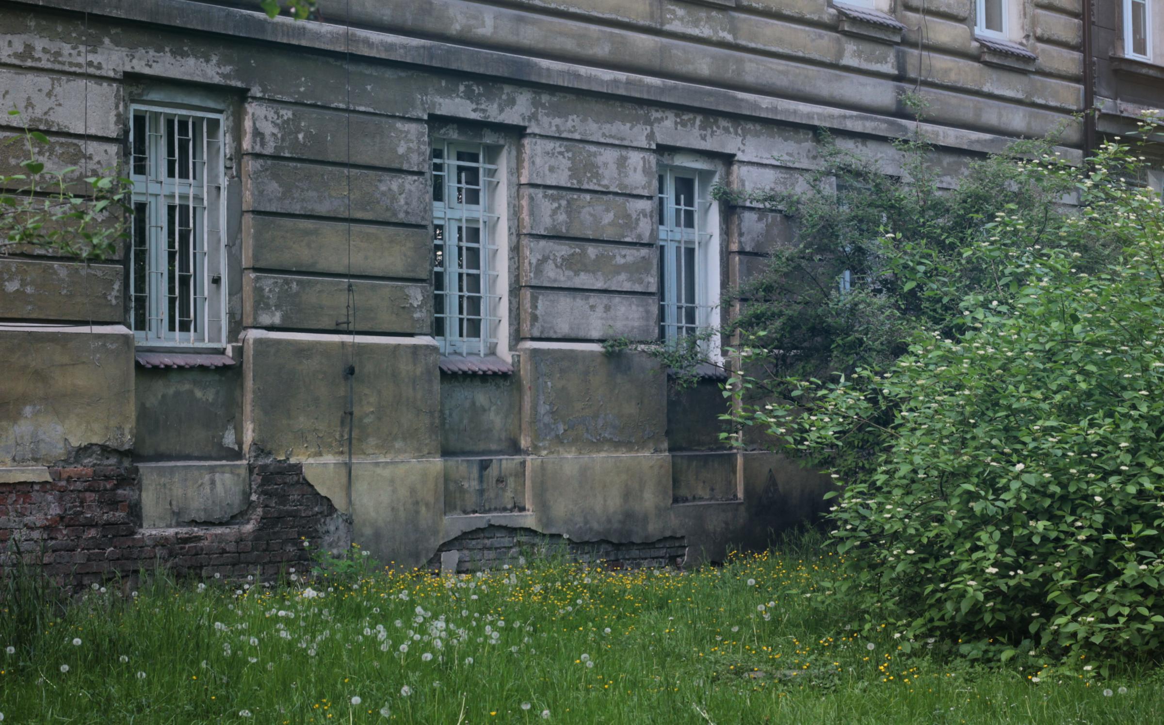 IMG_7272-crop.JPG