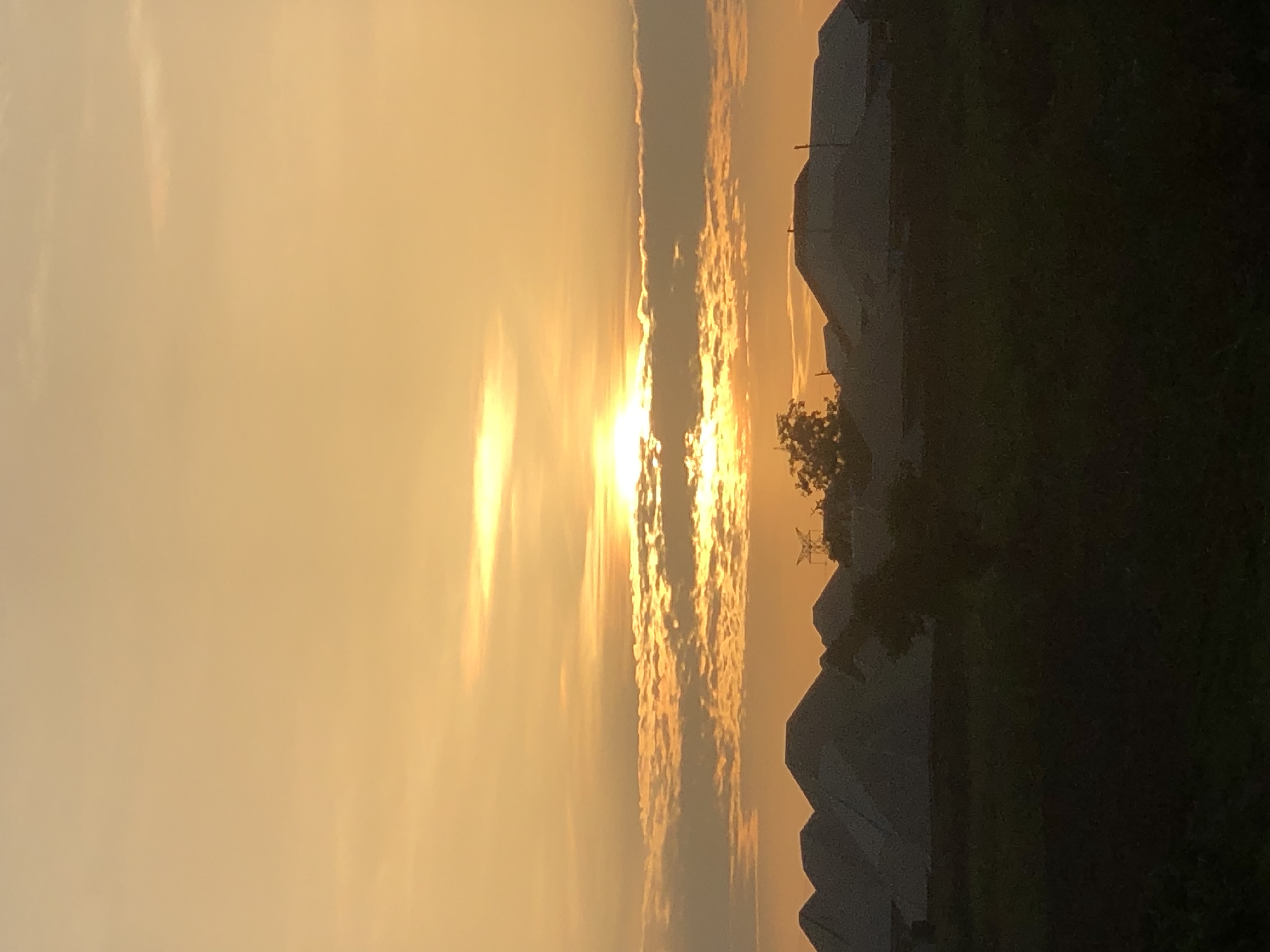 B8926B75-BC22-4D79-97AC-5F065E071848.jpeg