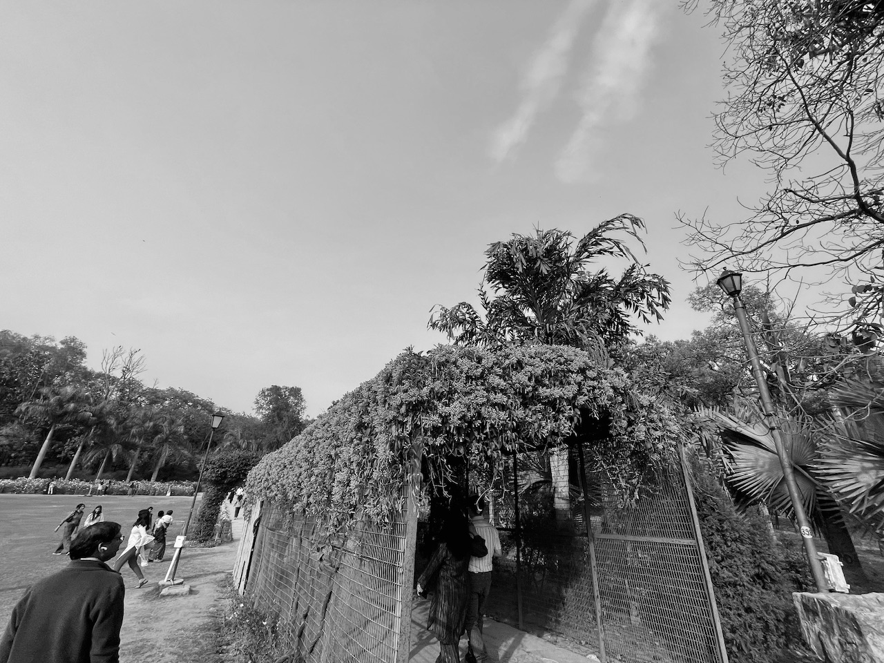 IMG_7989.jpeg