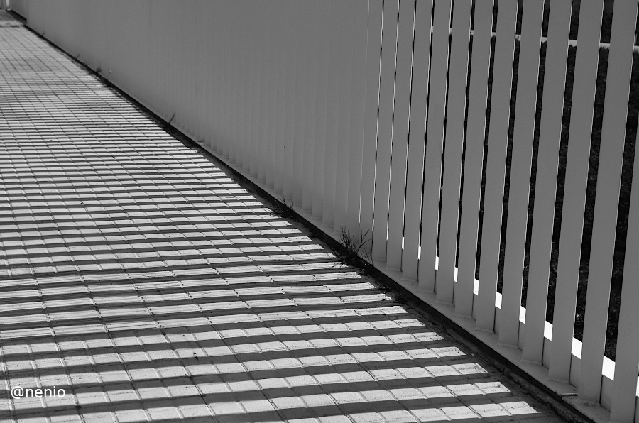 shadows-fence-002-bw.jpg