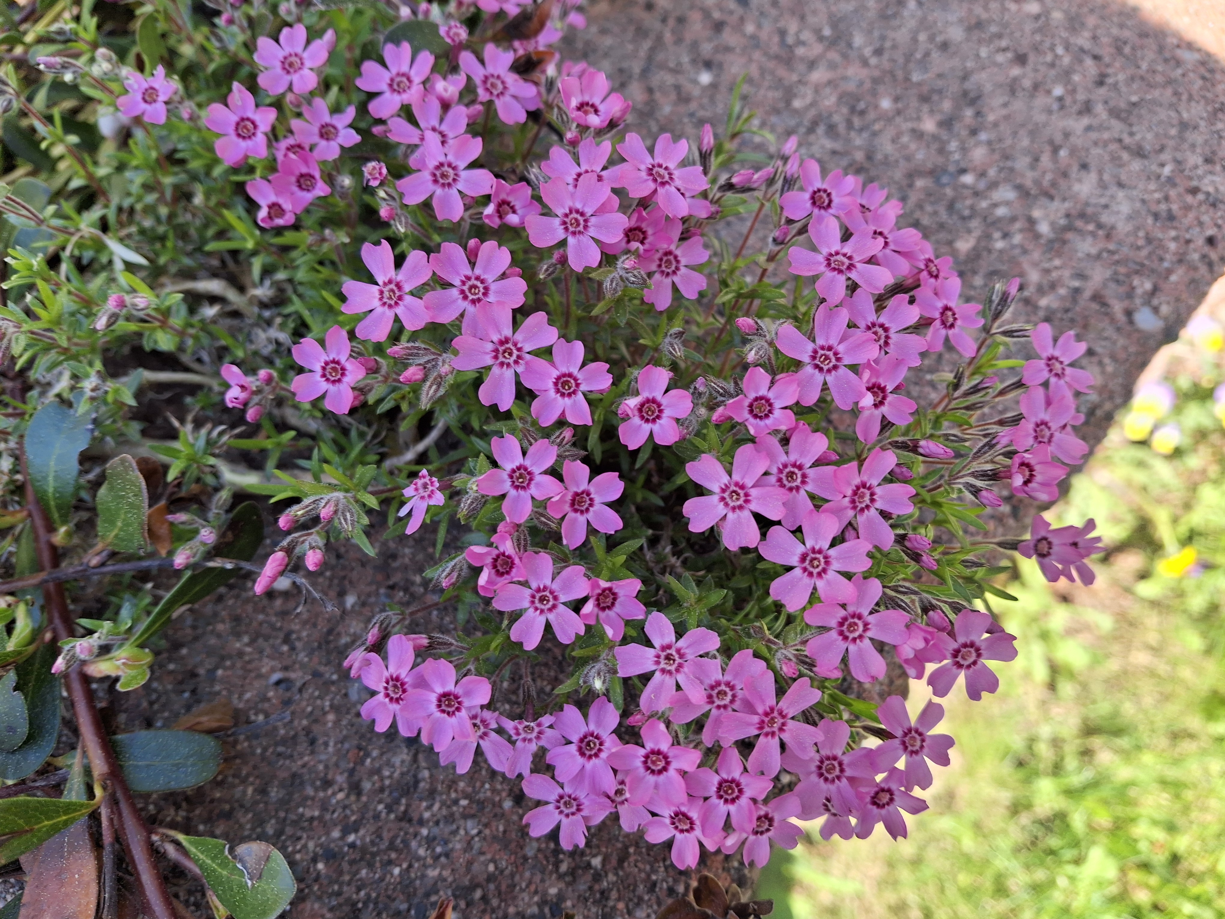 20240513_125733.jpg