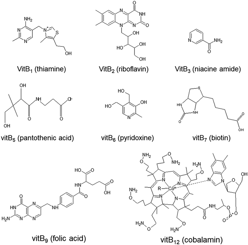 Chemical-structures-of-eight-B-vitamins-The-chapter-focuses-on-vitamins-B-1-B-3-B-5.png