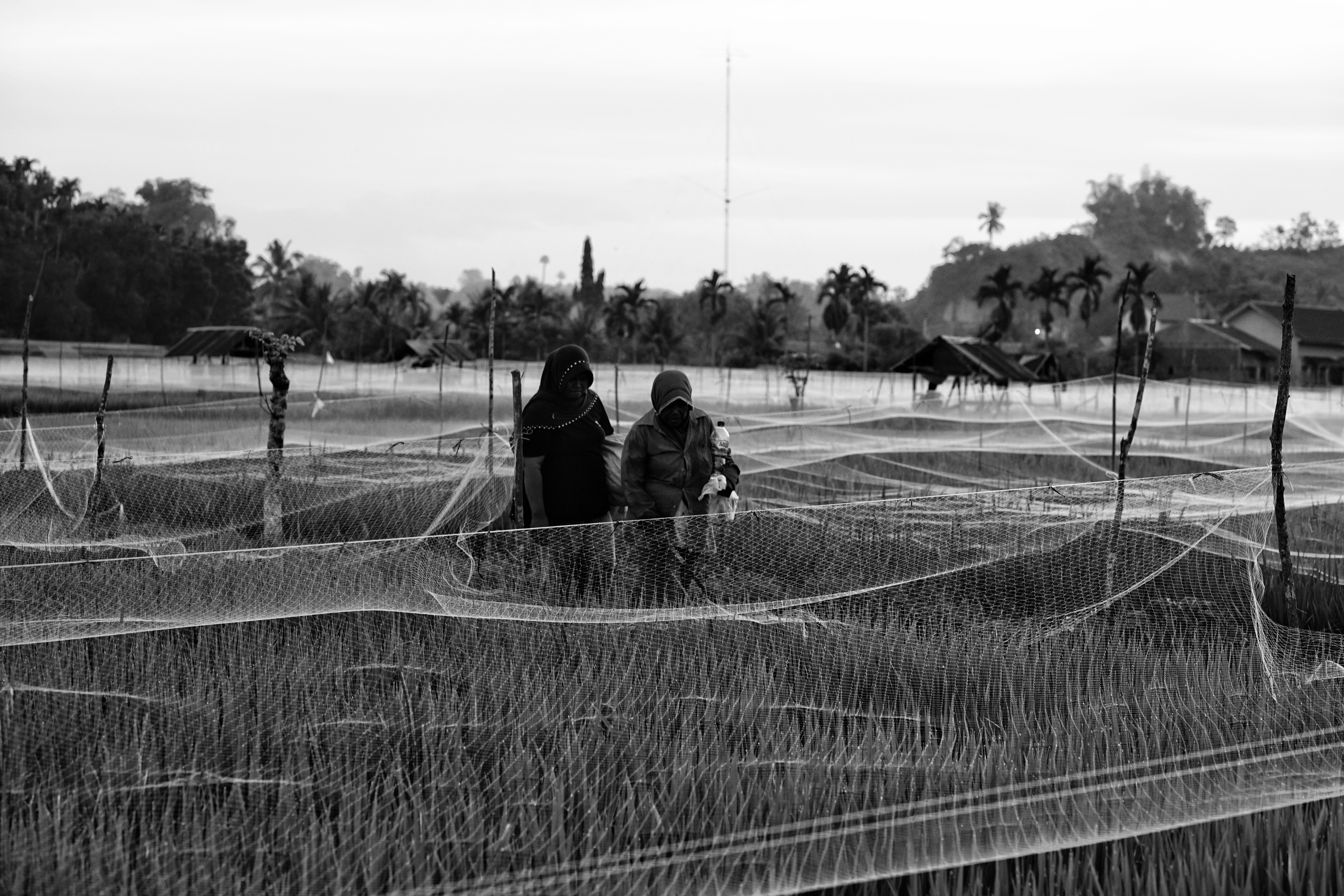 DSC02051-01.jpeg