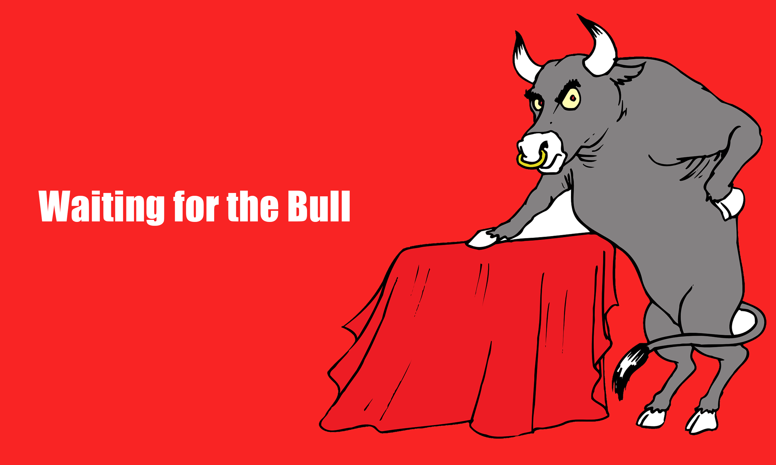 bulls2.png
